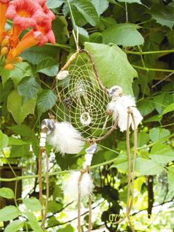 Dream Catcher